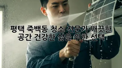 평택 죽백동 청소 전문가: 깨끗한 공간, 건강한 삶을 위한 선택